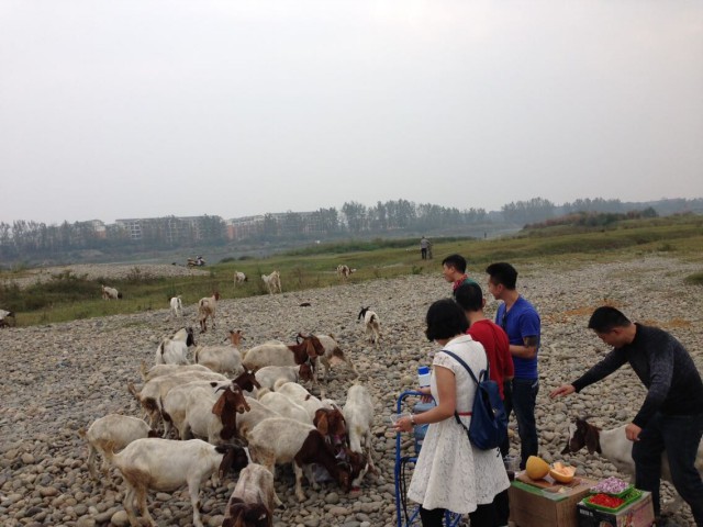QQDƬ20141027133356.jpg